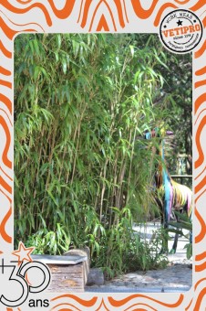 vetipro-anniversaire-30-ans-013-photobooth-006
