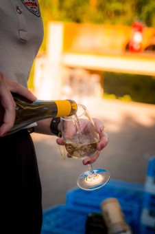 vetipro-anniversaire-30-ans-soiree-062